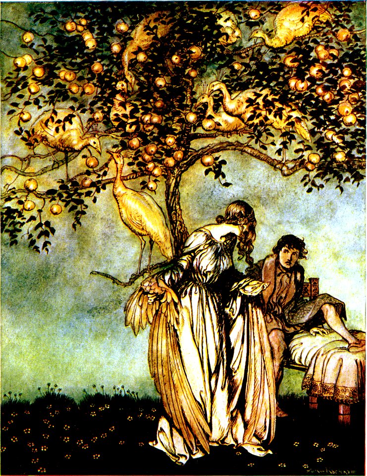 Allies Fairy Book-164
