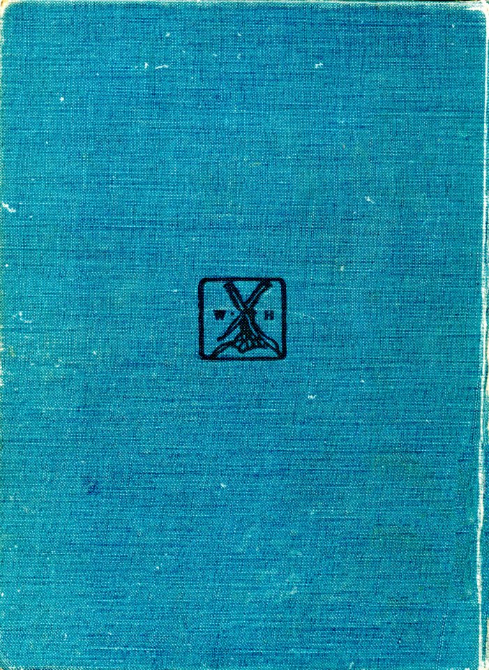 Allies Fairy Book-199