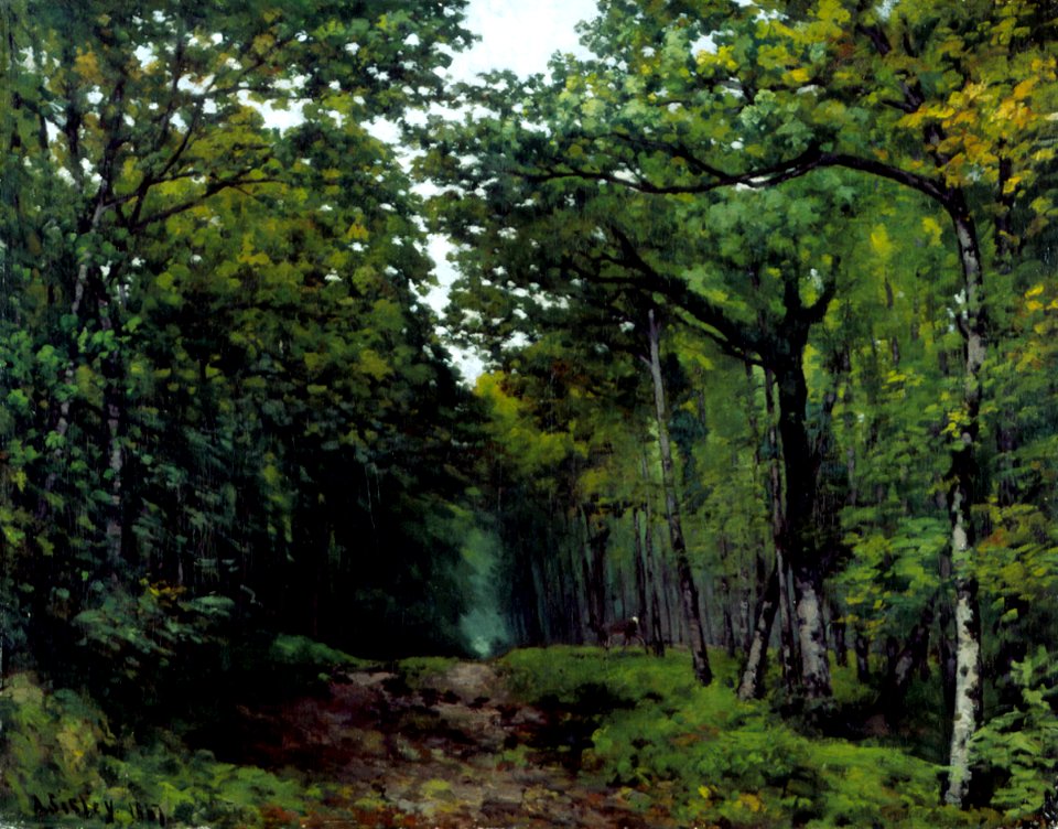 Allée de châtaigniers près de La Celle Saint-Cloud