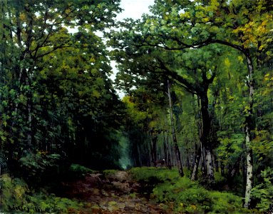 Allée de châtaigniers près de La Celle Saint-Cloud