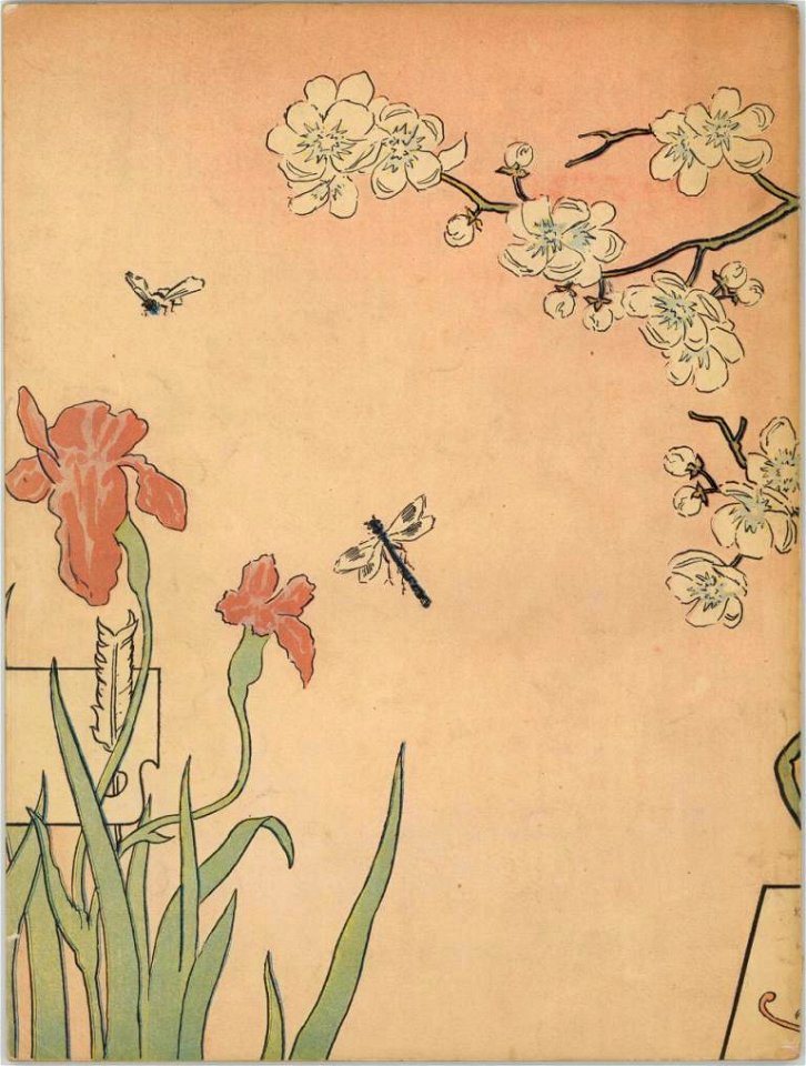 Almanaque La Ilustración Española y Americana 1905, back cover by Mariano Pedrero