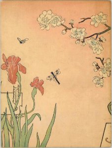 Almanaque La Ilustración Española y Americana 1905, back cover by Mariano Pedrero