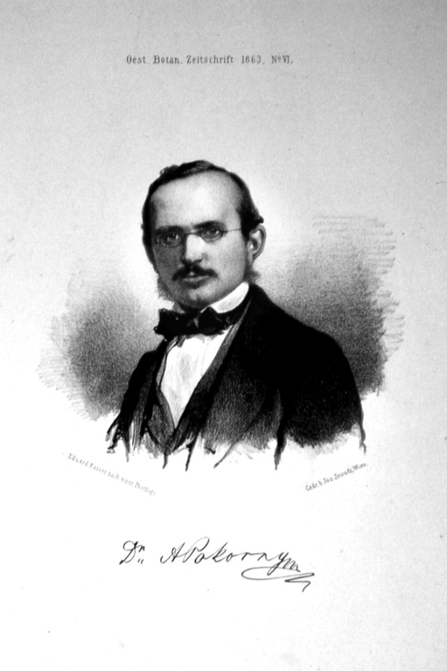 Alois Pokorny Litho