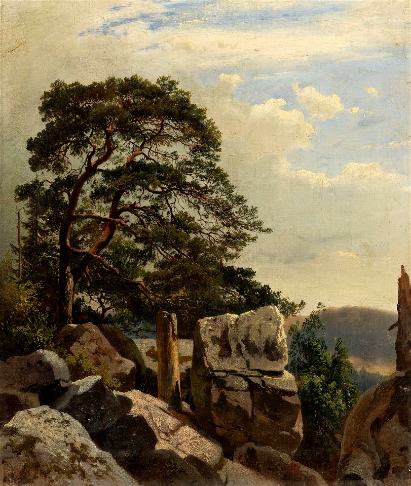 Alois Kirnig - Borovice na Waldeku