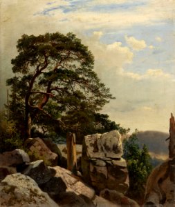 Alois Kirnig - Borovice na Waldeku