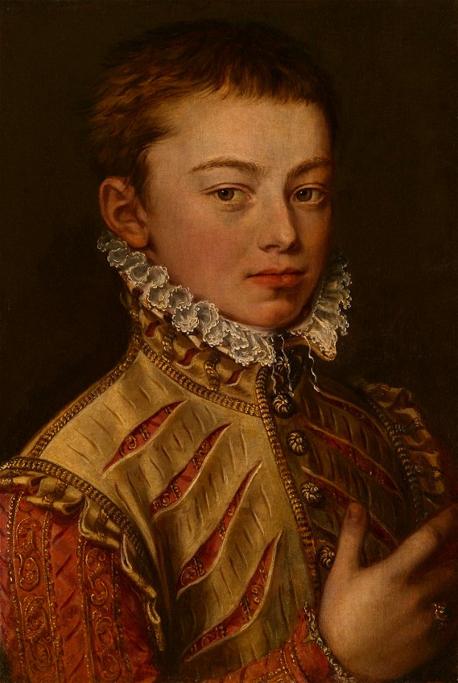 Alonso Sánchez Coello - Portrait of Don Juan of Austria - 1954.293 - Art Institute of Chicago