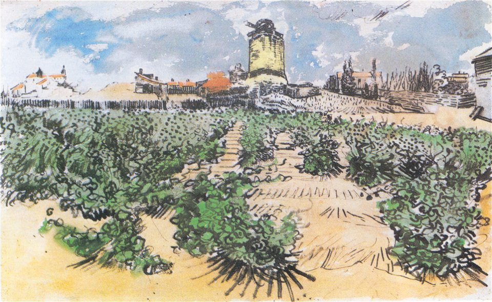 Van Gogh - Die Mühle von Alphonse Daudet in Fontevieille
