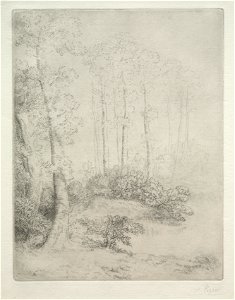 Alphonse Legros (French, 1837-1911) - Edge of the Water (Au Bord de L'Eau) - 1920.579 - Cleveland Museum of Art