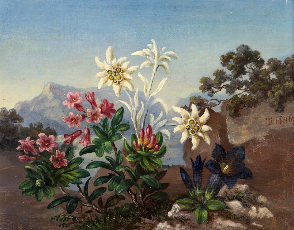 Alpine Flowers (1867)