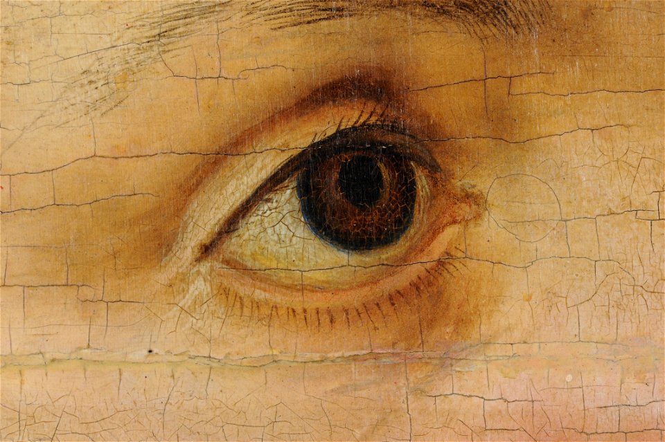 Altarpiece of the Virgin, or so-called Princes' Altarpiece (left wing) (DE AGGD 7a FR020 2010-04 Detail-005)