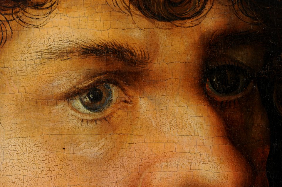 Altarpiece of the Virgin, or so-called Princes' Altarpiece (left wing) (DE AGGD 7a FR020 2010-04 Detail-009)