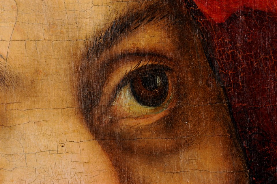 Altarpiece of the Virgin, or so-called Princes' Altarpiece (left wing) (DE AGGD 7a FR020 2010-04 Detail-006)