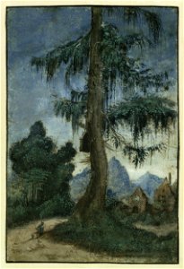 Albrecht Altdorfer - Landschaft mit Fichte (ca. 1522)