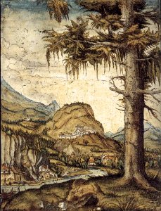 Albrecht Altdorfer - Large Fir - WGA00232. Free illustration for personal and commercial use.