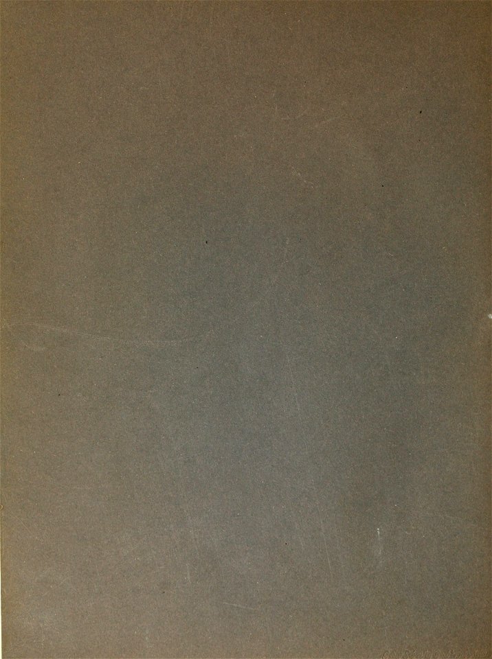 Altwiener Bilderbuch nach alten Stichen 0067