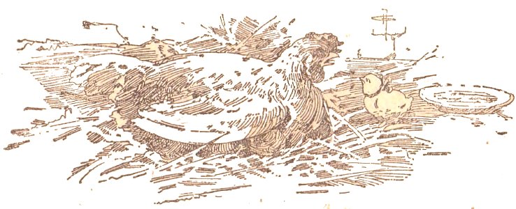 Baccini - Memorie di un pulcino, Bemporad & Figlio, Firenze, 1918 (page 24 crop)
