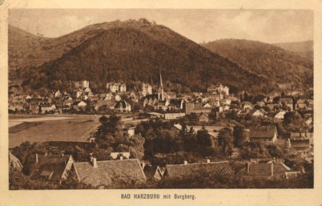 Bad Harzburg, Niedersachsen - Stadtansicht mit Burgberg (Zeno Ansichtskarten)