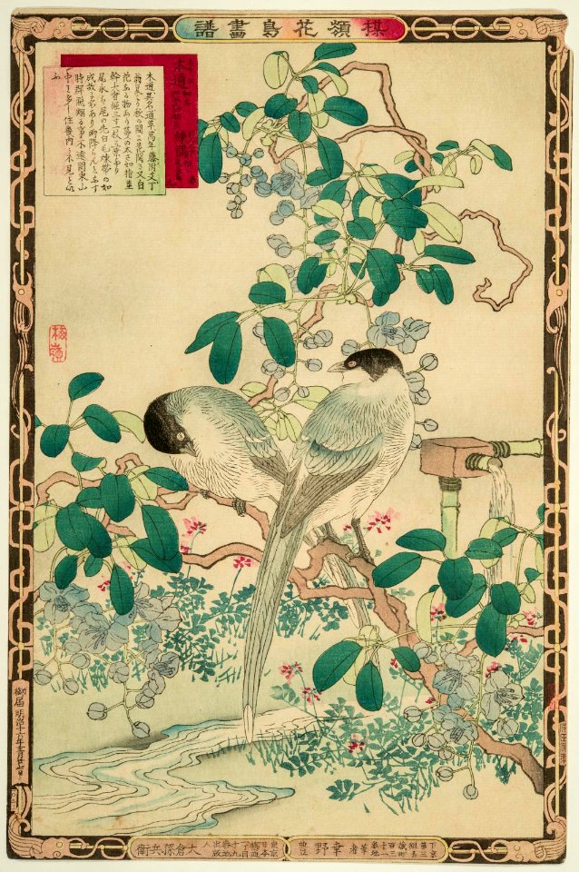 Bairei kachō gafu, Spring 09, Akebia quinata and Azure-winged magpies