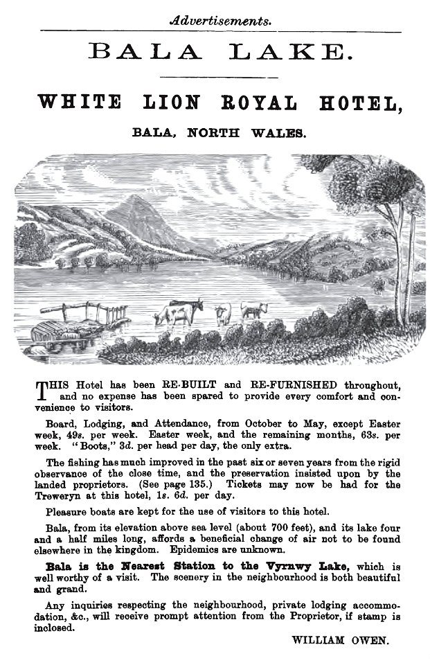 BalaLakeAdvertisement