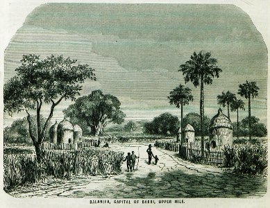 Balaniya, Capital of Bari, Upper Nile - Ainsworth William Francis - 1870