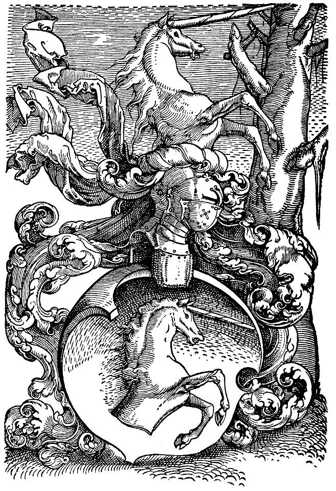 Baldung familienwappen 2