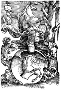 Baldung familienwappen 2