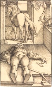 Baldung stallknecht