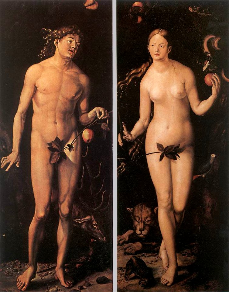 Hans baldus grien, copia da durer, adamo ed eva