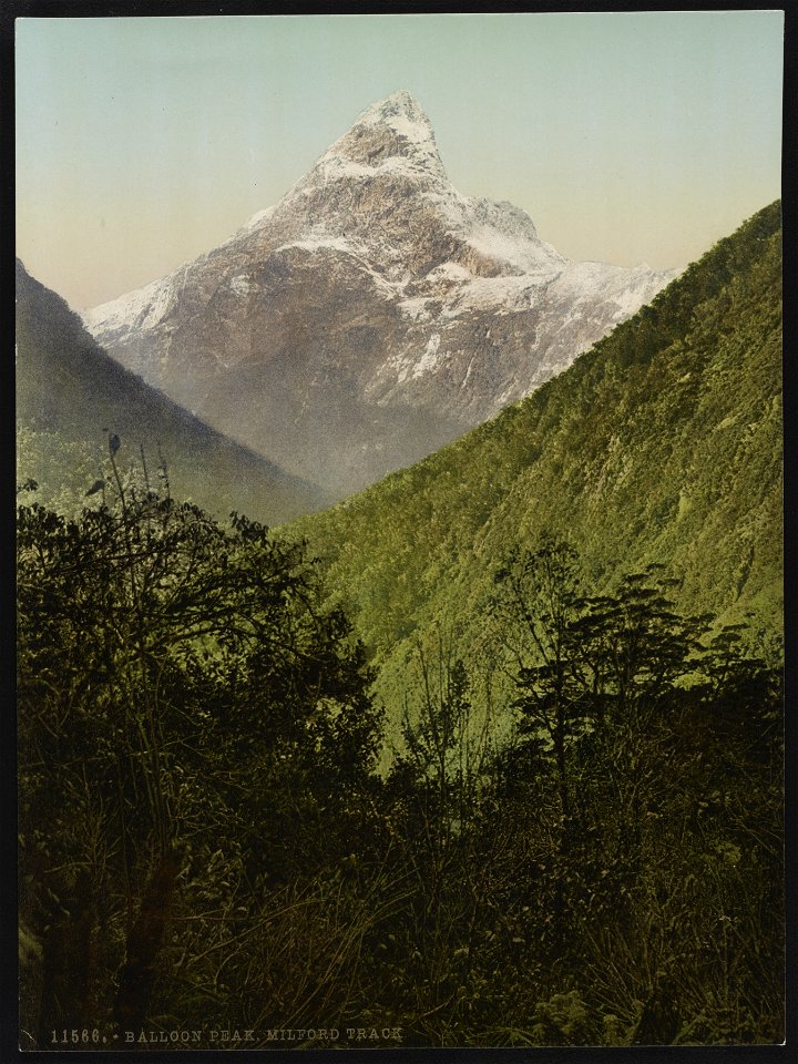 Balloon Peak, Milford Track LCCN2017658069