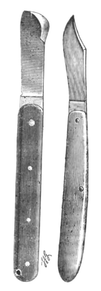 Baltet - L'art de greffer - fig168