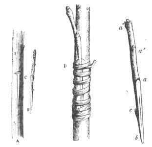 Baltet - L'art de greffer - fig48