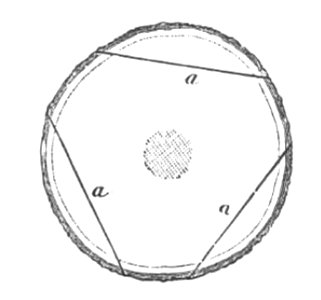 Baltet - L'art de greffer - fig63