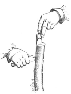 Baltet - L'art de greffer - fig70