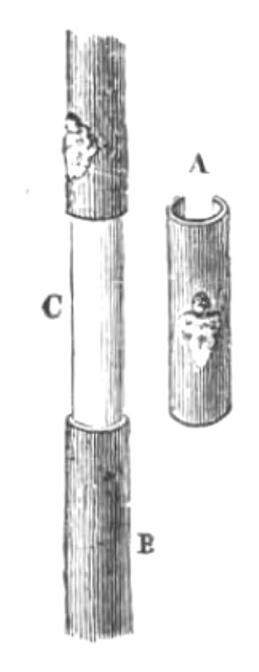 Baltet - L'art de greffer - fig100