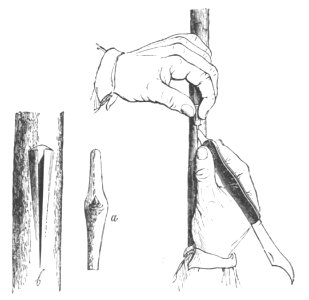 Baltet - L'art de greffer - fig92