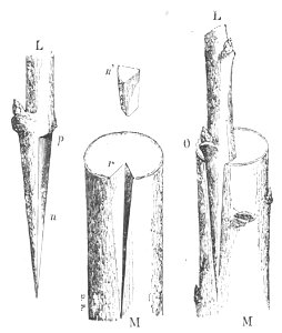 Baltet - L'art de greffer - fig59