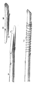 Baltet - L'art de greffer - fig81