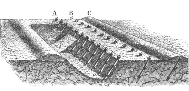 Baltet - L'art de greffer - fig23