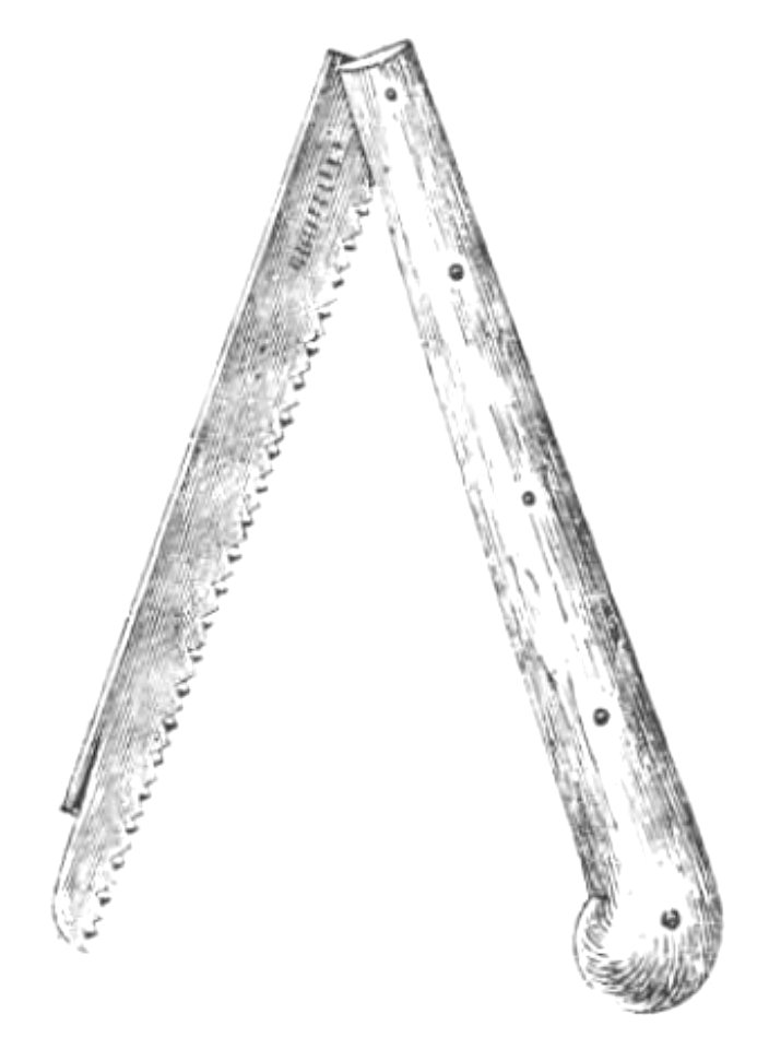 Baltet - L'art de greffer - fig2