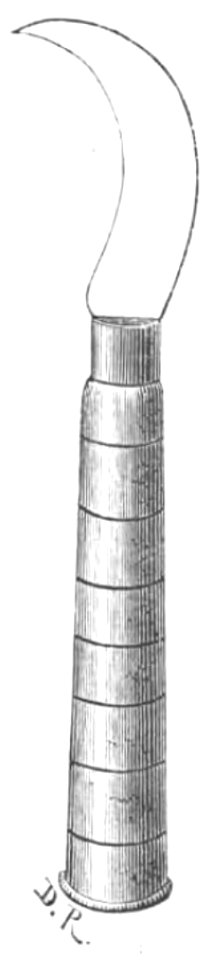 Baltet - L'art de greffer - fig4