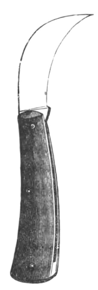 Baltet - L'art de greffer - fig3