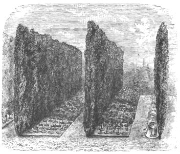 Baltet - L'art de greffer - fig36
