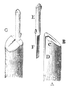 Baltet - L'art de greffer - fig69
