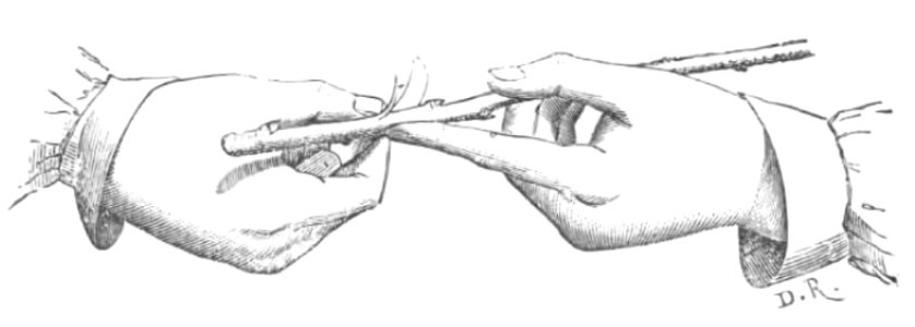 Baltet - L'art de greffer - fig68