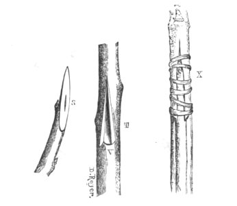 Baltet - L'art de greffer - fig43