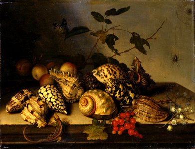 Balthasar van der Ast - Fruit and Shells