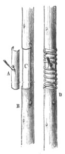 Baltet - L'art de greffer - fig95