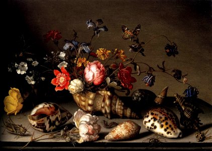 Balthasar van der Ast - Still-Life of Flowers, Shells, and Insects - WGA1039