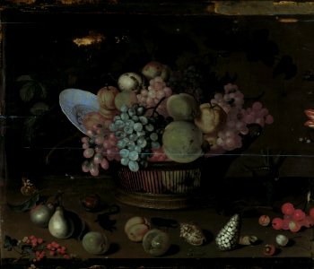 Balthasar van der Ast - Still life with fruit and shells - NG.M.00011 - National Museum of Art, Architecture and Design. Free illustration for personal and commercial use.