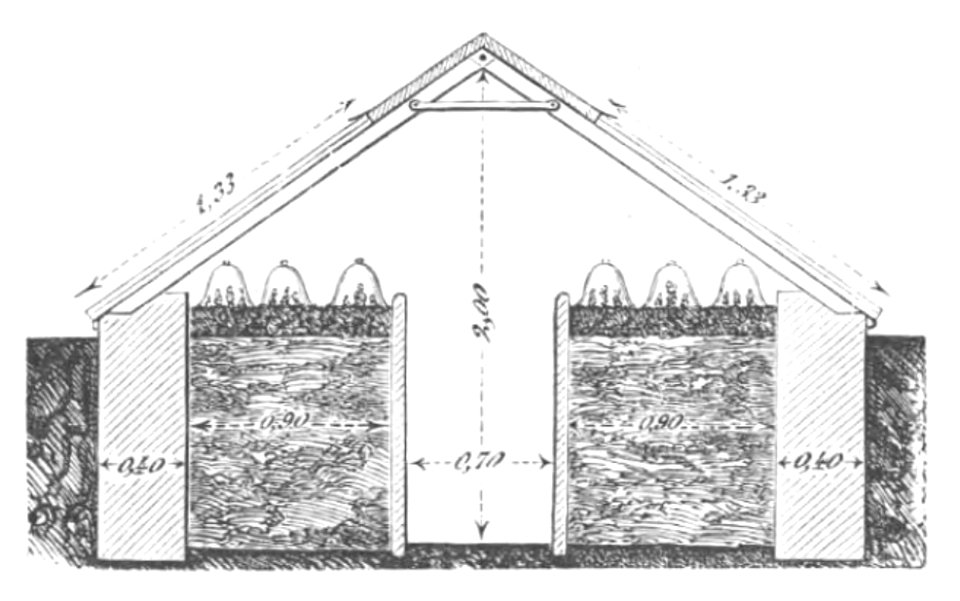 Baltet - L'art de greffer - fig35